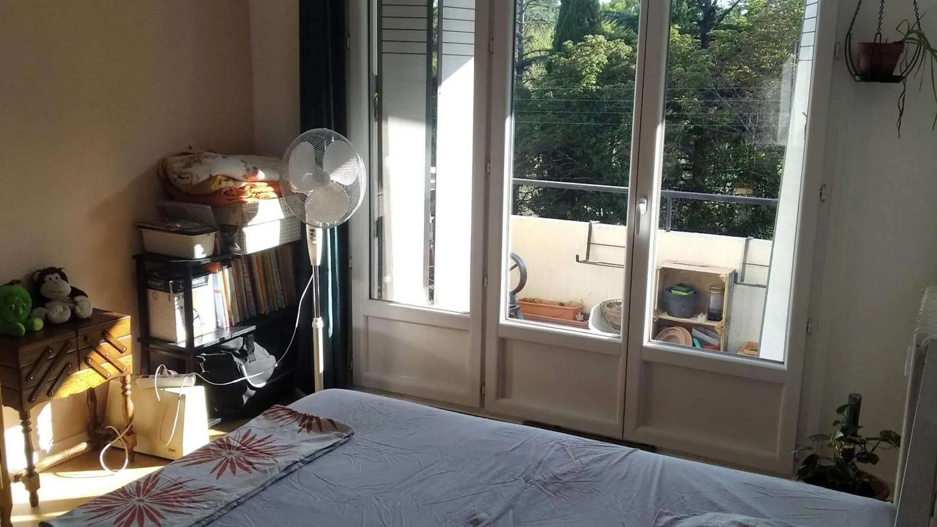 Appartement Spacieux Et Lumineux Montelimar Apartment