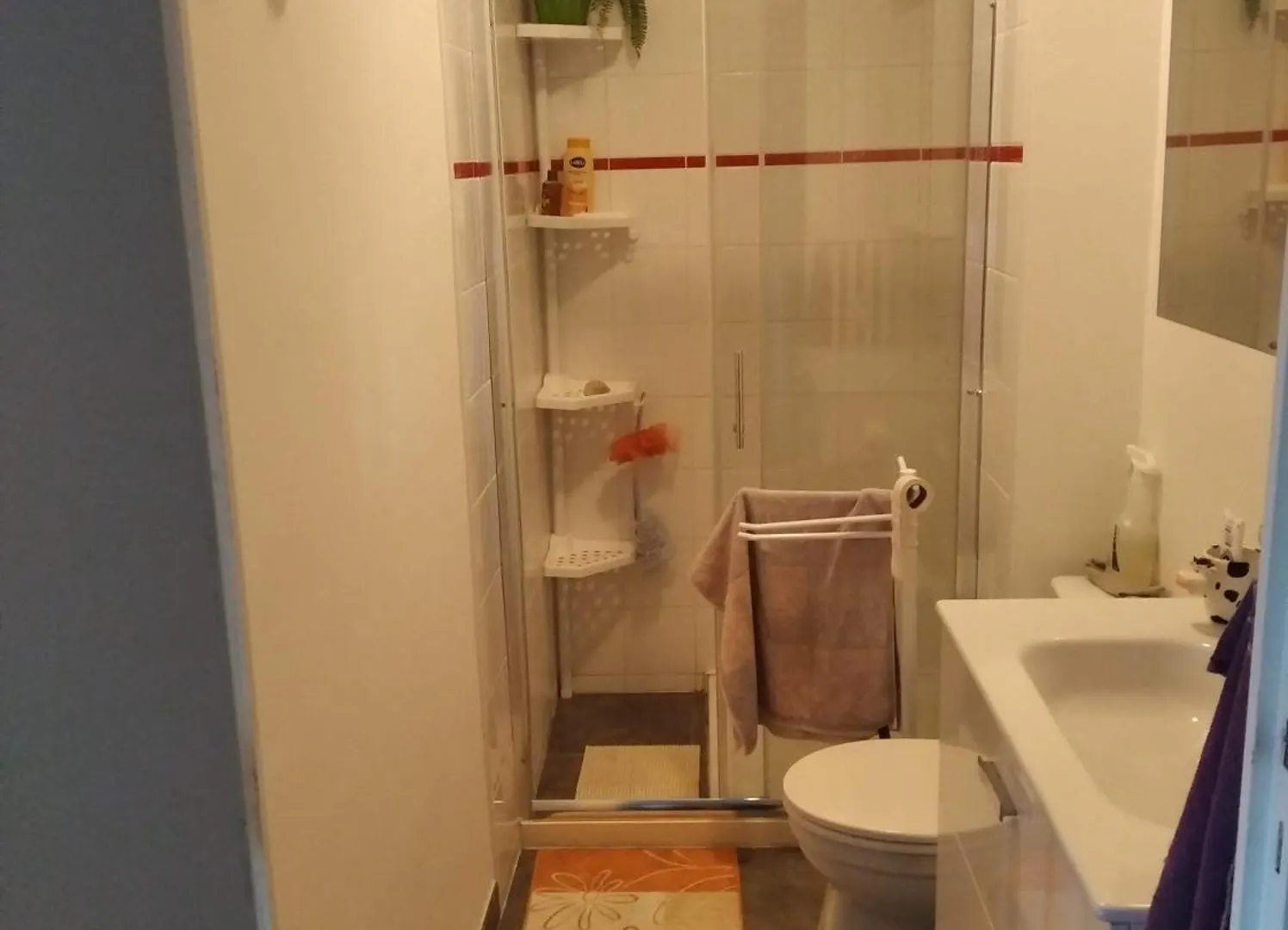 Apartment Appartement Spacieux Et Lumineux Montelimar France